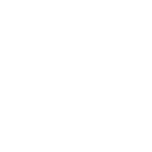 Aluminum disc